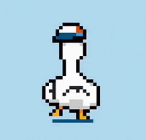 Shubba Duck